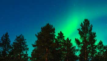 Restaurantes de Rovaniemi  Dónde comer en Rovaniemi  Restaurantes de Rovaniemi  Dónde comer en Rovaniemi