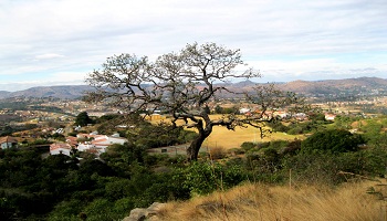 Restaurantes de Mbabane  Dónde comer en Mbabane 