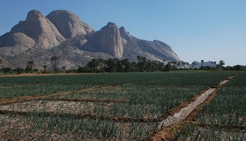 Kassala 