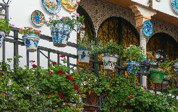 Restaurantes de Granada Dónde comer en Granada