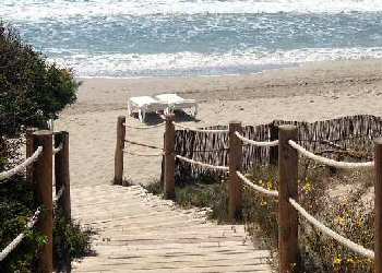 Restaurantes de Ibiza Dónde comer en Ibiza