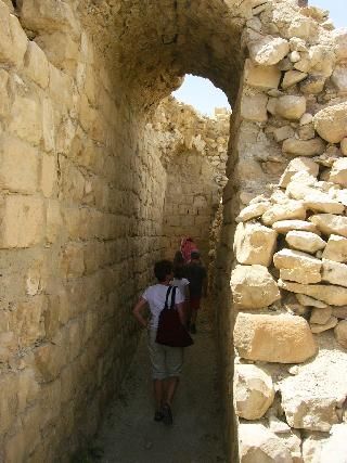 Casillo de los Cruzados en Petra