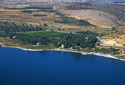 Hazafon 