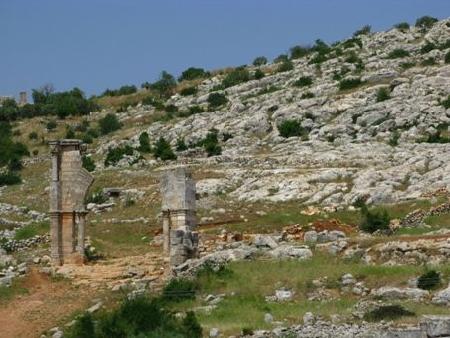 Halab 