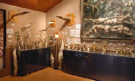 Museo de Húsavik