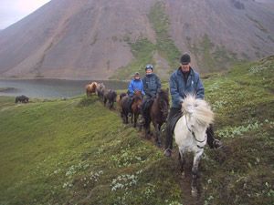 Torfunes Horse Farm