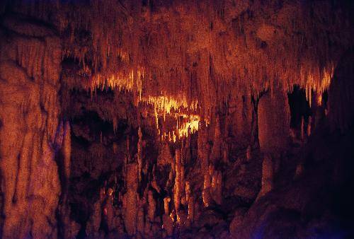 Italia Ruvo Di Puglia  Grutas de Castellana Grutas de Castellana Ruvo Di Puglia - Ruvo Di Puglia  - Italia