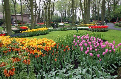 Holanda Lisse  Jardines de Keukenhof Jardines de Keukenhof Holanda - Lisse  - Holanda