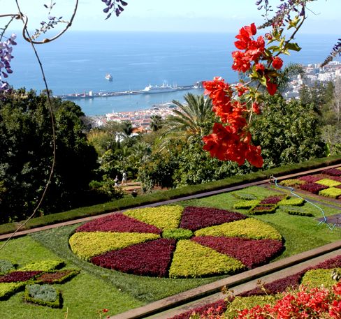 Portugal Funchal  Jardim Botânico Jardim Botânico Funchal - Funchal  - Portugal