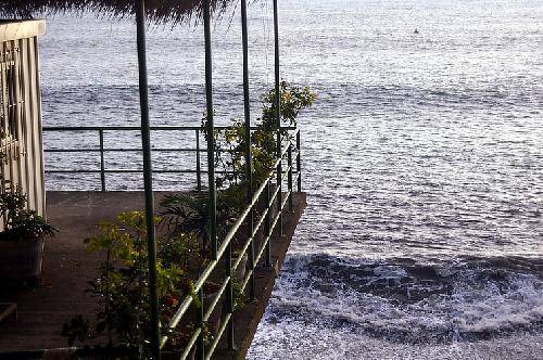 Portugal  Lugar de Baixo Lugar de Baixo Madeira -  - Portugal