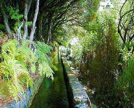 Funchal