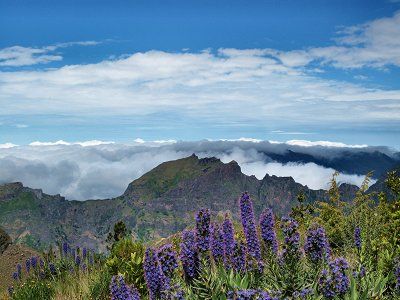 Madeira