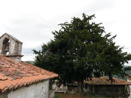 Hoteles cerca de Iglesia Parroquial  Belmonte De Miranda