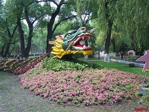Heilongjiang 