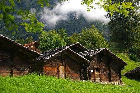 Museo al Aire Libre Ballenberg