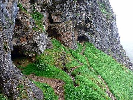 Cuevas de Inchnadamph Bone