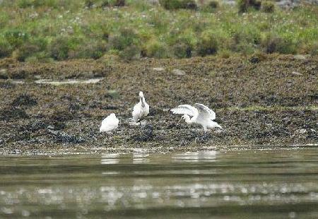 Dumfries And Galloway 