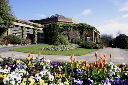 Harrogate 