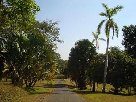 Panamá 