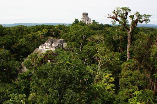 Guatemala Parque Nacional de Tikal Plaza Oeste Plaza Oeste Guatemala - Parque Nacional de Tikal - Guatemala