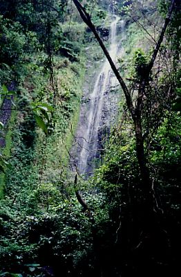 Nicaragua  Ometepe Island Ometepe Island Ometepe Island -  - Nicaragua