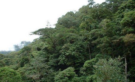 Costa Rica  Parque Nacional Chirripó Parque Nacional Chirripó San José -  - Costa Rica