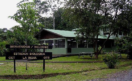 Costa Rica Sarapiquí La Selva Biological Station La Selva Biological Station Costa Rica - Sarapiquí - Costa Rica