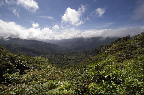 Costa Rica  Reserva Biológica Bosque Nuboso Monteverde Reserva Biológica Bosque Nuboso Monteverde Costa Rica -  - Costa Rica