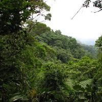Costa Rica  Reserva Biológica de Santa Elena Reserva Biológica de Santa Elena El Mundo -  - Costa Rica