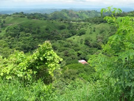 Costa Rica  Reserva Biológica de Santa Elena Reserva Biológica de Santa Elena Costa Rica -  - Costa Rica