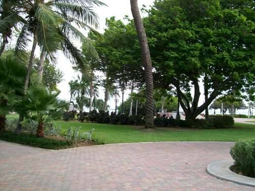 Aruba Oranjestad  Wilhelmina Park Wilhelmina Park Central America - Oranjestad  - Aruba