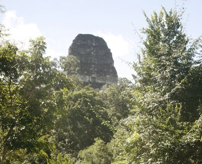 Guatemala Parque Nacional de Tikal Templo V Templo V Guatemala - Parque Nacional de Tikal - Guatemala