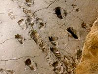The Acahualinca footprints