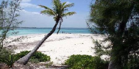 Green Turtle Cay