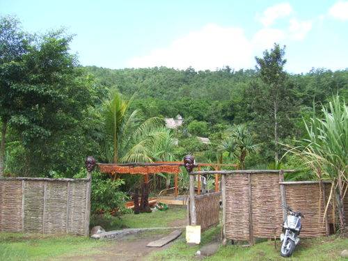 Martinique Fortde France la Savane Park la Savane Park Martinique - Fortde France - Martinique