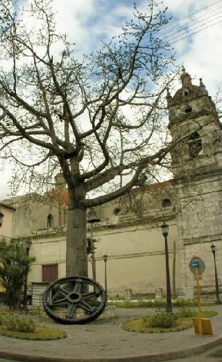 Catedral de San Carlos