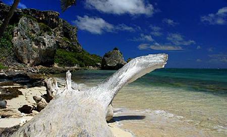 Mayagüez Aguadilla