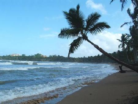 Las Terrenas 