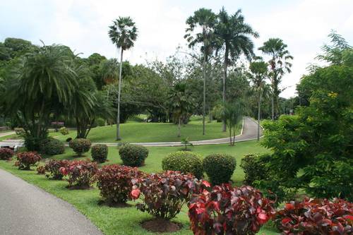Trinidad y Tobago Port Of Spain  Jardín Botánico Jardín Botánico Trinidad y Tobago - Port Of Spain  - Trinidad y Tobago
