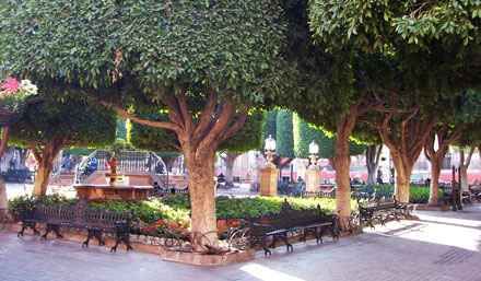 Allende 