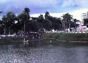 Parque El Arenal