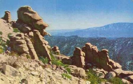 Hidalgo 
