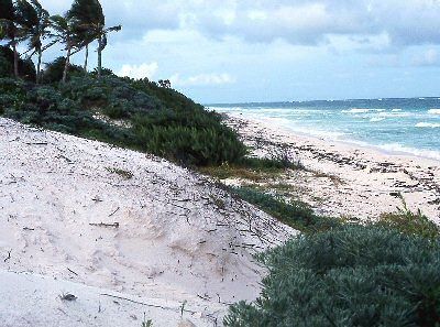 Playa Del Carmen 