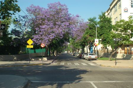 Chile Santiago Avenida República Avenida República Santiago - Santiago - Chile