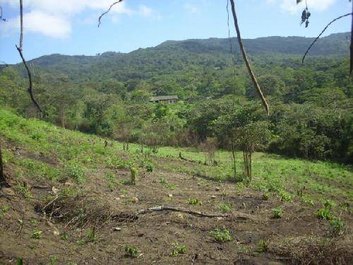 Venezuela Coro  El Cercado El Cercado Coro - Coro  - Venezuela