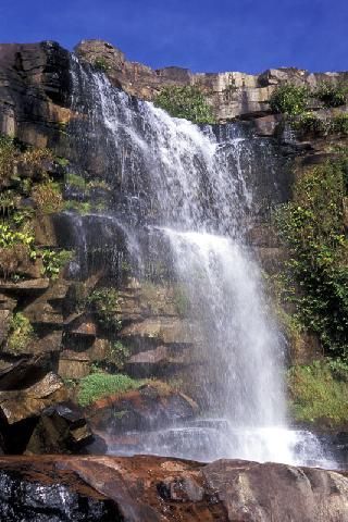 Venezuela Canaima Quebrada Pacheco Quebrada Pacheco Bolívar - Canaima - Venezuela