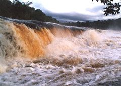 Venezuela Canaima Saltos del Yuri Saltos del Yuri Bolívar - Canaima - Venezuela