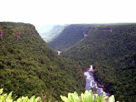 Potaro Siparuni 