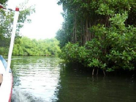 Laguna de la Restinga