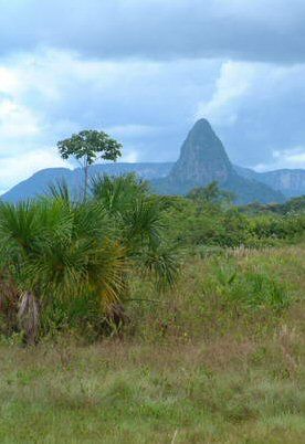 Bolívar 